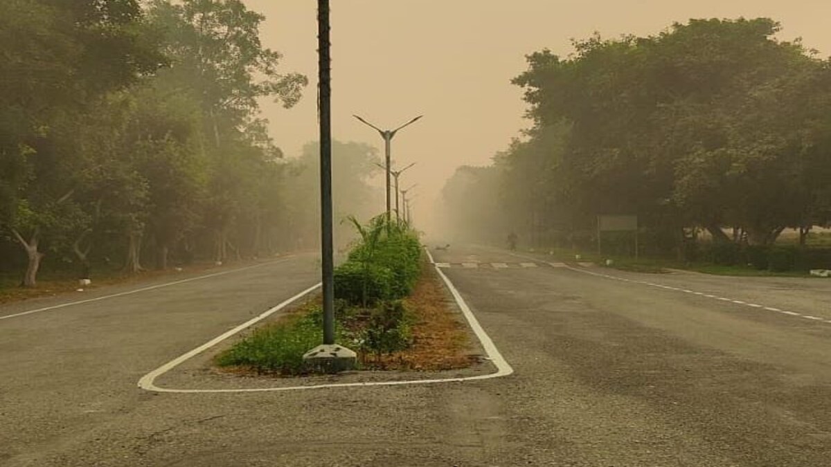 UP Weather Update: लोगों को अभी फिर झेलना होगा कोहरे-शीतलर का डबल अटैक, अब IMD ने ये बताया UP Tak