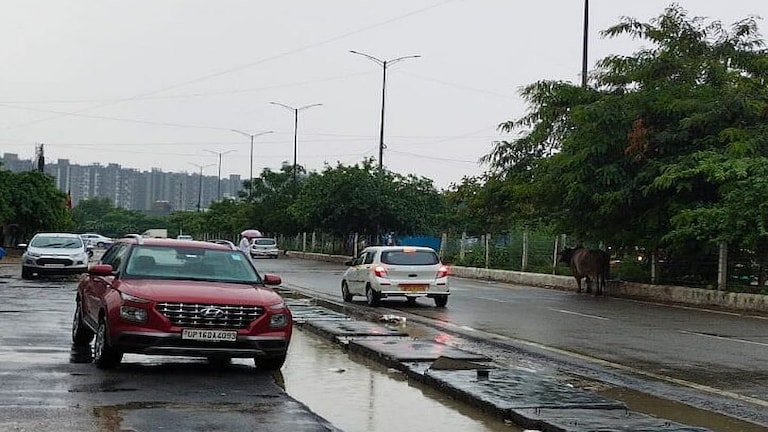 UP में मौसम विभाग ने जारी किया नया अलर्ट, 19 सितंबर तक इन जगहों पर भारी बारिश का अनुमान UP Tak