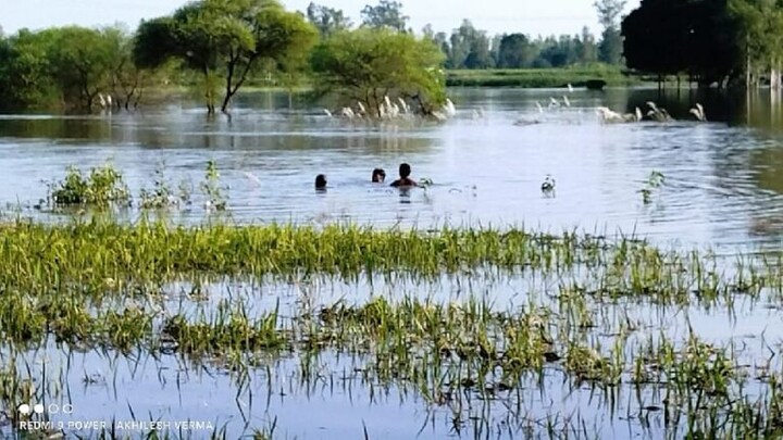 यूपी: गणेश प्रतिमा विसर्जन के दौरान बड़ा हादसा, नदी में डूबे 5 लोग, 4 लापता, एक शव बरामद UP Tak