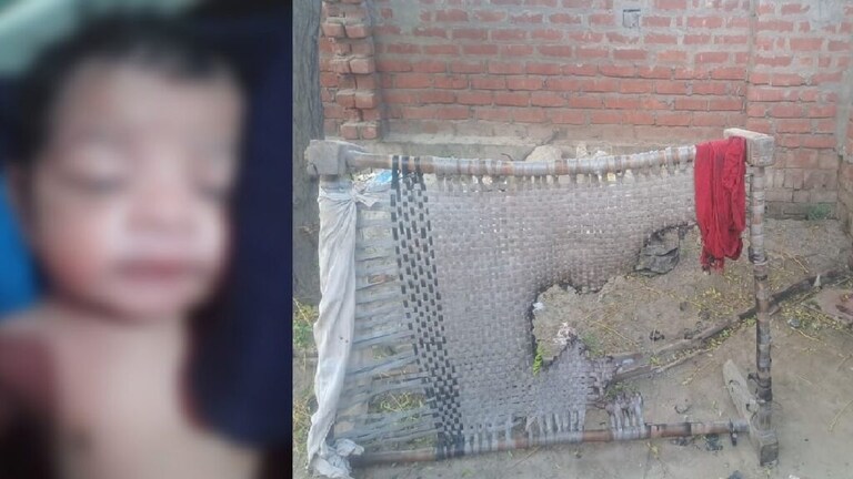 बरेली: चार्जिंग में लगे मोबाइल में हुआ तेज धमाका, पास लेटी मासूम की हुई दर्दनाक मौत UP Tak