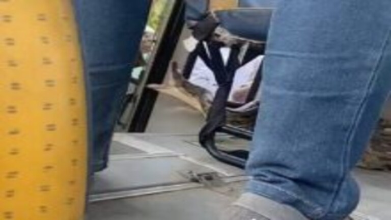 रायबरेली: बकरी का शिकार करने आया अजगर स्कूल बस में घुस गया, सामने आया ये डरावना सीन UP Tak