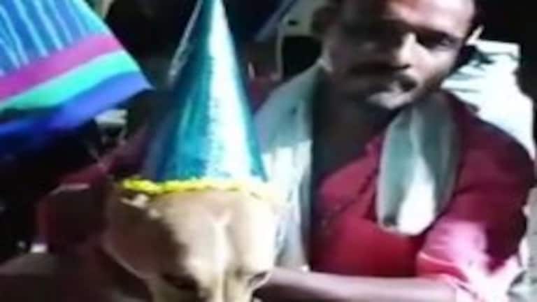 मिर्जापुर: कुत्ते के जन्मदिन पर कटा केट, बजा डीजे, गांव भर के लोगों ने लिया पकवान का लुत्फ UP Tak