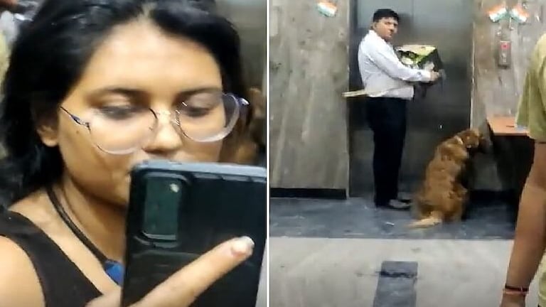 ग्रेटर नोएडा: लिफ्ट में डॉगी ले जाने को लेकर दो महिलाएं आपस में भिड़ीं, वीडियो वायरल UP Tak