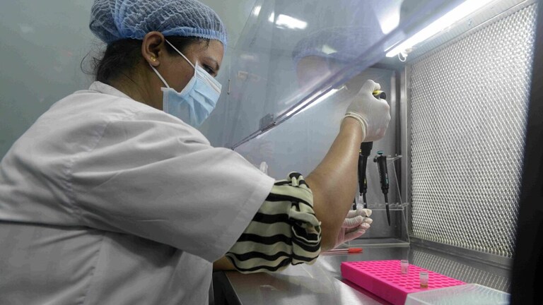 प्रेग्नेंसी में नॉनवेज खाना घातक? मांओं के दूध में मिले कीटनाशक, रिसर्च में कही गई ये बात UP Tak