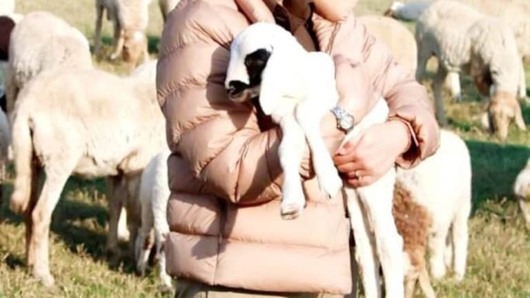 कौन हैं IPS वृंदा शुक्ला, जिन्होंने जेल में छापा मार मुख्तार अंसारी की बहु को किया अरेस्ट UP Tak