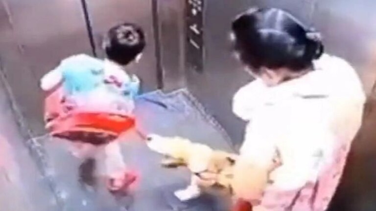 गाजियाबाद: लिफ्ट में डॉग बाइट का मामला, ओनर पर निगम ने लगाया जुर्माना, कही ये बात UP Tak