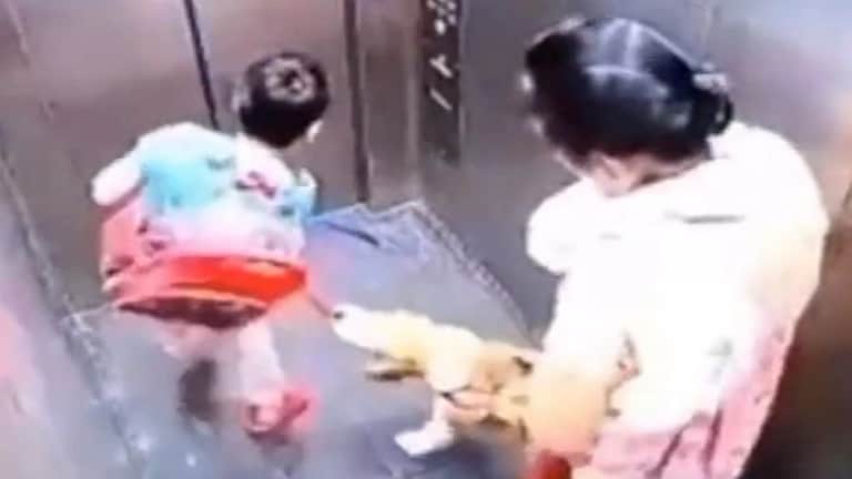 गाजियाबाद: लिफ्ट में डॉग बाइट का मामला, ओनर पर निगम ने लगाया जुर्माना, कही ये बात UP Tak