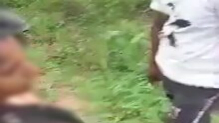 हमीरपुर: सुनसान पार्क में पति-पत्नी को अकेले पाकर मनचलों ने की ये हरकत, वीडियो वायरल UP Tak