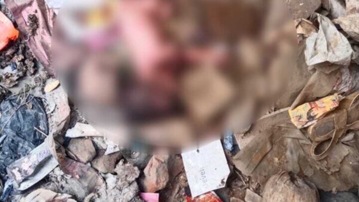 शर्मनाक! आगरा में कचरे के ढेर में मिली नवजात बच्ची, भाई-बहन ने आवारा कुत्तों से यूं बचाई जान UP Tak