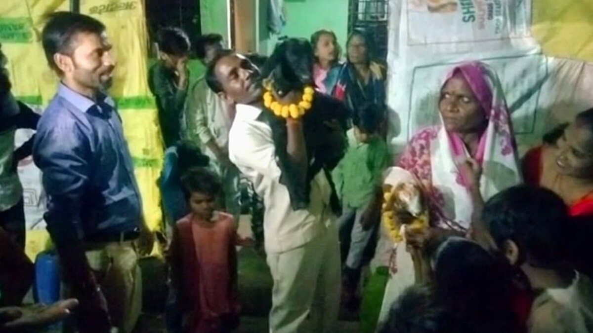 बांदा: इस रिक्शा चालक ने बकरी के बच्चों के संग मनाया जन्मदिन, केक काटा और डीजे पर डांस भी UP Tak