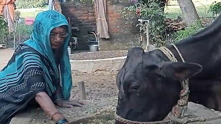 गोरखपुर: मजदूरी करती थी महिला, इस आइडिया ने बनाया सफल किसान और चमकी किस्मत, खुद देखिए UP Tak