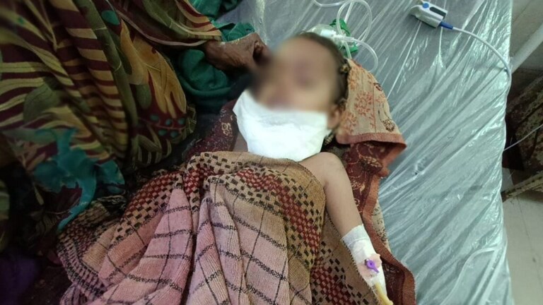 बांदा: 3 साल के मासूम बच्चे को मां ने कुल्हाड़ी से काट डाला, लेकिन क्यों? जानिए पूरा मामला UP Tak