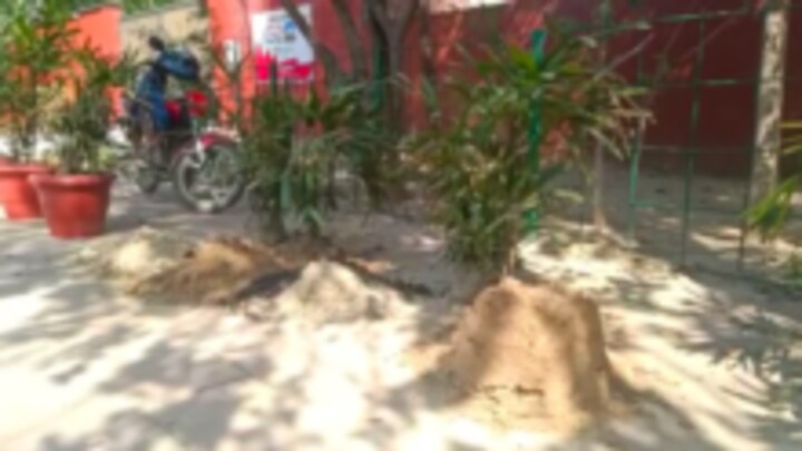 आगरा पुलिस ने ‘G20 के गमला चोर को’ दबोचा, आरोपी ने साथी के साथ मिलकर चुराए थे इतने गमले UP Tak