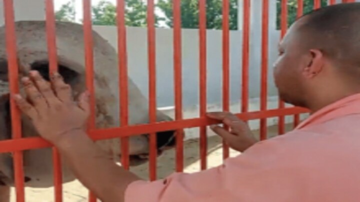 नंदी से मिलकर सीएम योगी ने उससे पूछा सवाल, बोले-‘काहे नाराज है?’ वीडियो हो रहा वायरल UP Tak