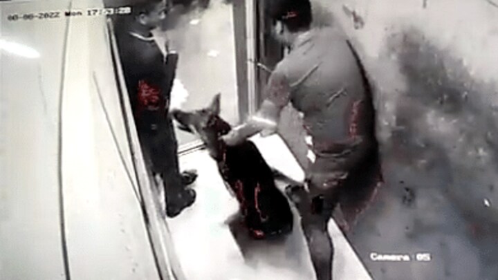 नोएडा: लिफ्ट में युवक को कुत्ते ने काटा, गाजियाबाद की घटना के बाद ये CCTV फुटेज हुआ वायरल UP Tak