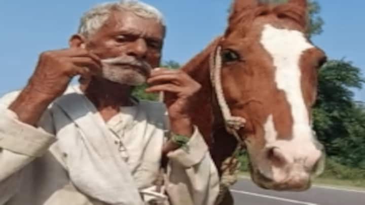 लखीमपुर खीरी: अपने पालतू घोड़े पर बैठ हवा से बातें करते हैं 82 साल के ऋषिकेश, गजब है कहानी UP Tak