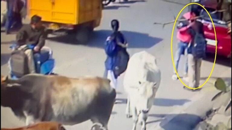 लखनऊ: सरेआम छात्रा से छेड़छाड़, CCTV में कैद हुई वारदात, तीन युवक हिरासत में UP Tak