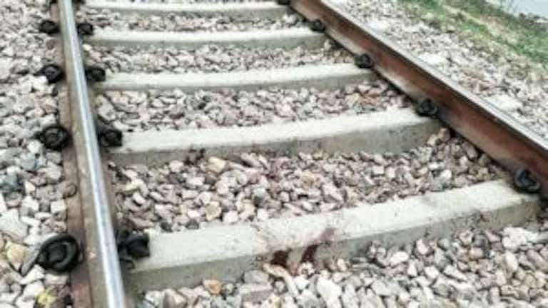 एटा: ट्रेन का हॉर्न बजा और बच्चे को पटरी पर खींच ले गया कुत्ता, दोनों की हुई दर्दनाक मौत UP Tak