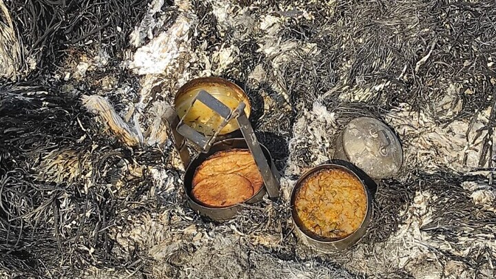 अलीगढ़: खेत पर अलाव के पास ही सो गया किसान, आग की चपेट में आने से हुई दर्दनाक मौत UP Tak