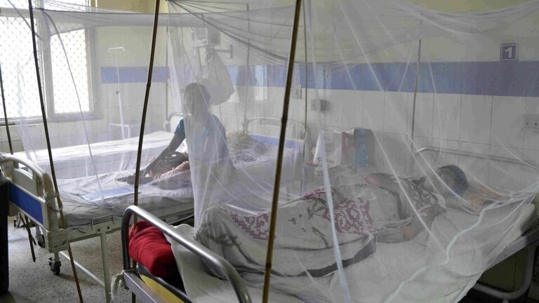 लखनऊ: तेजी से बढ़ रहे डेंगू के मामले को देखते हुए हाईकोर्ट सख्त, निगम से मांगी रिपोर्ट UP Tak