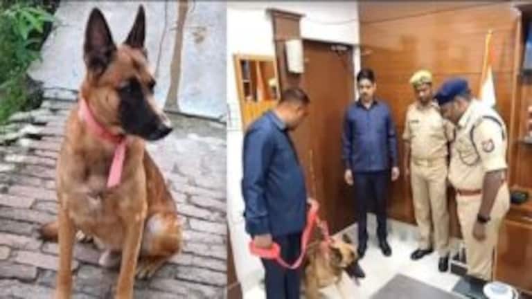 कासगंज: कुत्ते ने खोज निकला कातिल को, 48 घंटे में इस तरह सुलझाया ब्लांइड मर्डर मिस्ट्री UPTak