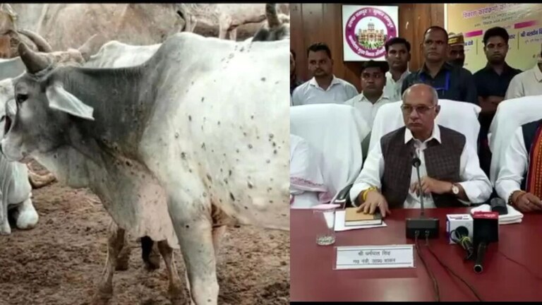 यूपी में लगा पशुओं का लॉकडाउन! पशुधन मंत्री बोले- लंपी वायरस के खतरे को लेकर सरकार चिंतित UP Tak