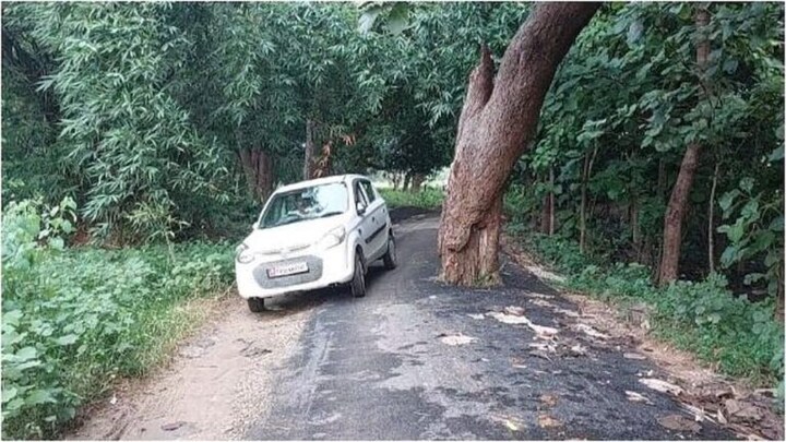 UP: देवरिया में PWD का अनोखा कारनामा, सड़क बनाने के दौरान बीच में ही छोड़ दिया पेड़ UP Tak