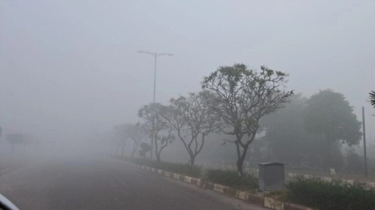 UP Weather: ठंड से ठिठुरा यूपी! 6-8 डिग्री तापमान दर्ज, जानें आगे कैसे रहेगा सर्दी का हाल UP Tak