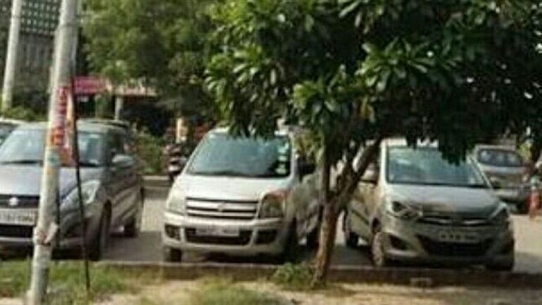 नोएडा: यमुना एक्सप्रेसवे विकास प्राधिकरण क्षेत्र की धनोरी आर्द्रभूमि के दिन बहुरेंगे UP Tak