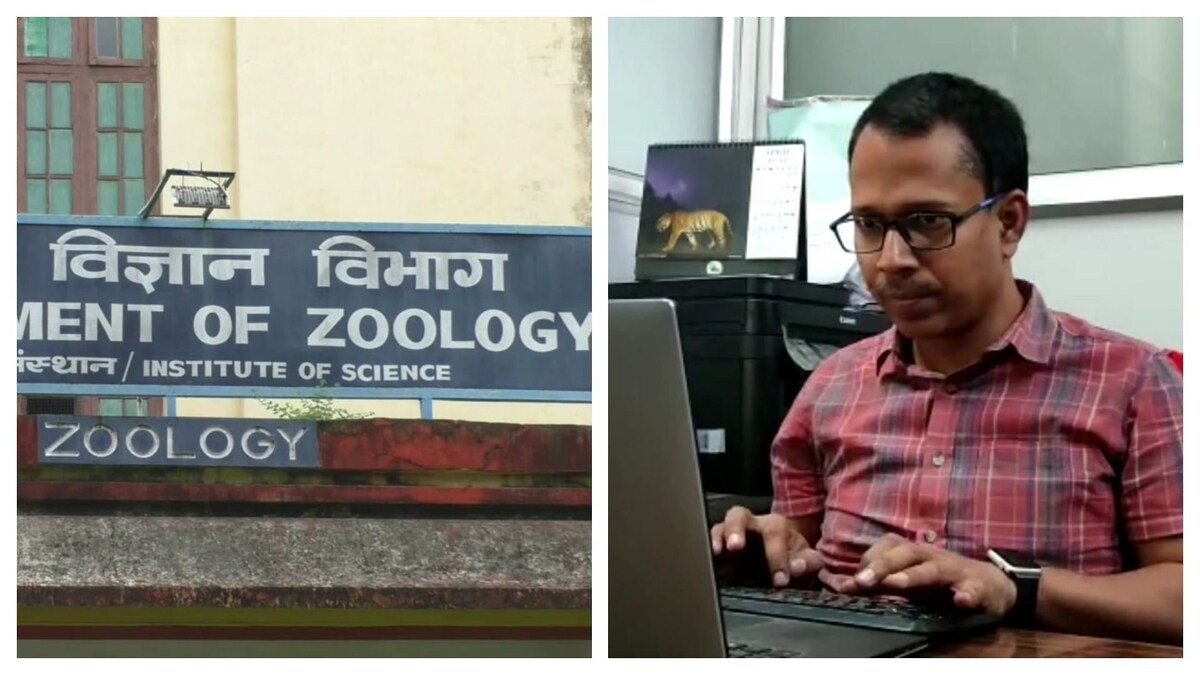 कोरोना की चौथी लहर खतरनाक होगी? जानिए क्या है इसपर BHU के जीन वैज्ञानिक का दावा UP Tak