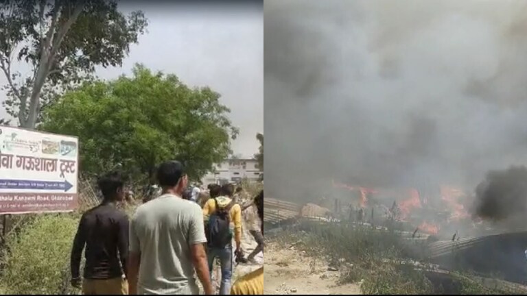 गाजियाबाद: आग की चपेट में आने से कई गायों की जलकर दर्दनाक मौत, 20 गंभीर रूप से घायल UP Tak