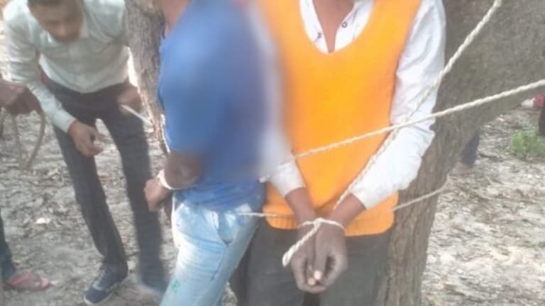 बाराबंकी में किशोरों को तालिबानी सजा, बकरी का चारा लेने गए लड़कों को पेड़ में बांधकर पीटा UP Tak