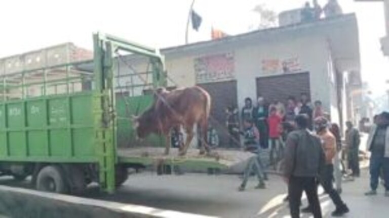 फिरोजाबाद: आवारा सांड ने बुजुर्ग को मारी थी टक्कर, इलाज के दौरान हुई मौत, लोग आक्रोशित UP Tak