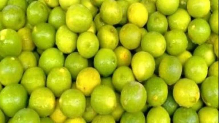 बाराबंकी जेल में नींबू घोटाला! 3 महीने में 36 क्विंटल पी गए, कैदी बोले- हमें तो मिले नहीं UP Tak