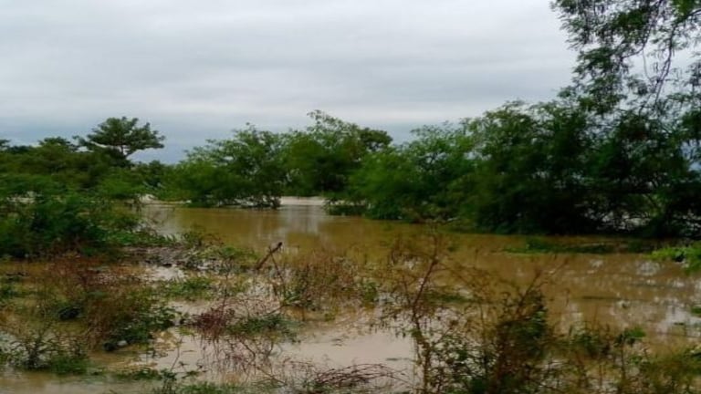 बहराइच: सरयू और घाघरा ने बरपाया कहर, देखिए, कैसे बाढ़ से जीना हुआ मुश्किल UP Tak