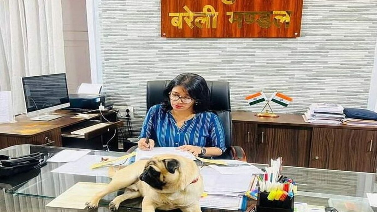 बरेली कमिश्नर संयुक्ता समद्दार की टेबल पर डॉगी! तस्वीर हुई वायरल तो लोग पूछने लगे सवाल UP Tak