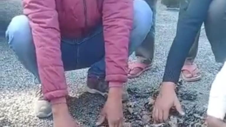 लखीमपुर में प्रधानमंत्री ग्राम सड़क योजना का हाल देखिए, हाथ से ही उखड़ने लगी नई बनी रोड UPTak