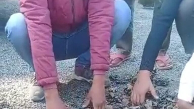 लखीमपुर में प्रधानमंत्री ग्राम सड़क योजना का हाल देखिए, हाथ से ही उखड़ने लगी नई बनी रोड UP Tak