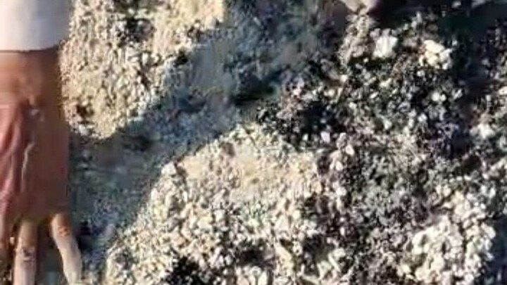 लखीमपुर खीरी: ये कैसा निर्माण? नई नवेली सड़क को ग्रामीणों ने हाथ से उखाड़ा, Video हुआ वायरल UP Tak