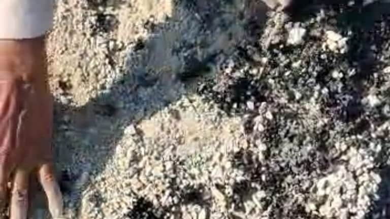 लखीमपुर खीरी: ये कैसा निर्माण? नई नवेली सड़क को ग्रामीणों ने हाथ से उखाड़ा, Video हुआ वायरल UP Tak