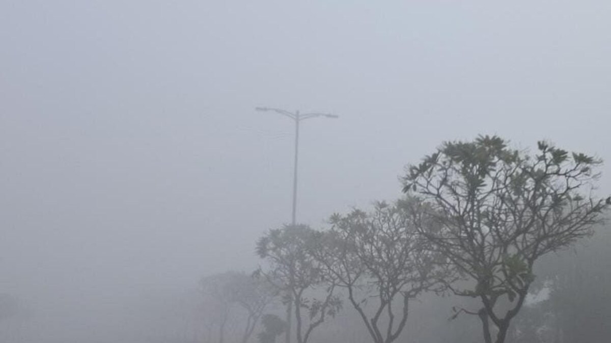 UP Weather News: कड़ाके की ठंड के साथ हुई नए साल की शुरुआत, जानें कैसा रहेगा तापमान? UP Tak