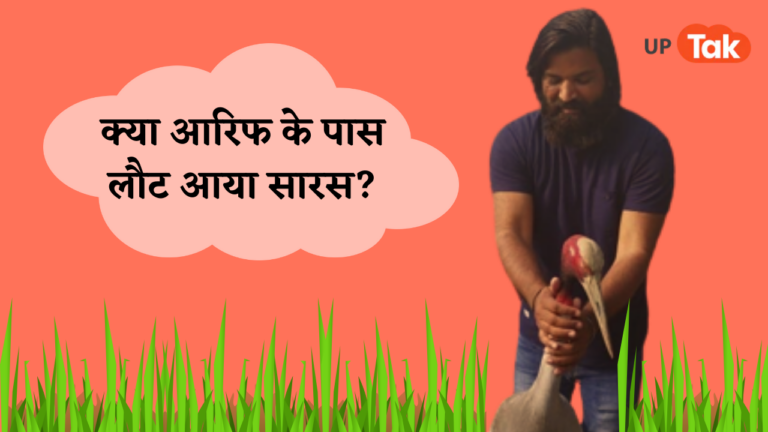 क्या मोहब्बत की हुई जीत और आरिफ के पास वापस लौटा सारस? पर इसका सच बिल्कुल अलग है UP Tak