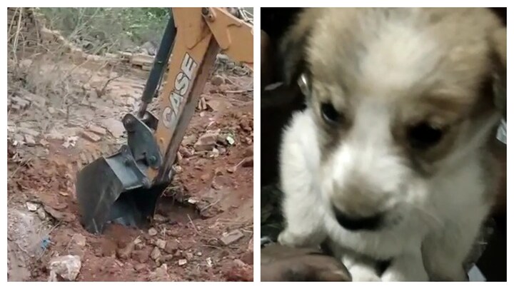 यूपी में मकान ही नहीं गिराता, जान भी बचाता है बुल्डोजर! झांसी में देखने को मिला अनोखा नजारा UP Tak