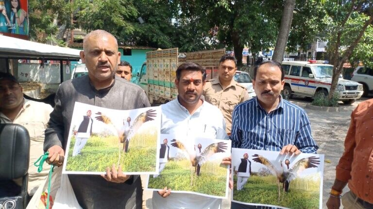 कानपुर चिड़ियाघर में आरिफ वाले सारस ने खाना-पीना छोड़ा? सपा विधायक पहुंचे तस्वीर लेकर UpTak