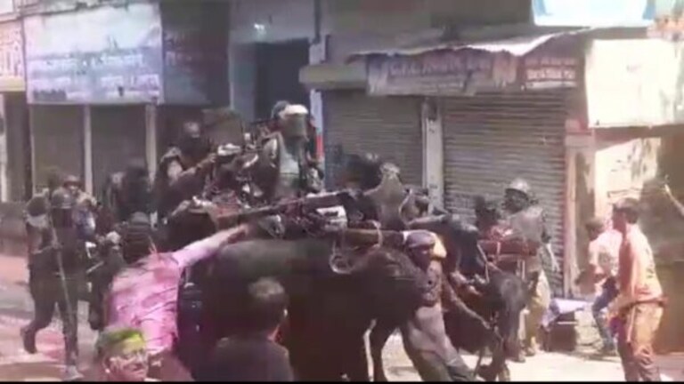 शाहजहांपुर की गजब होली! यहां भैंसा गाड़ी पर निकले लाट साहब, बरसाए गए जूते, जानिए वजह? UP Tak