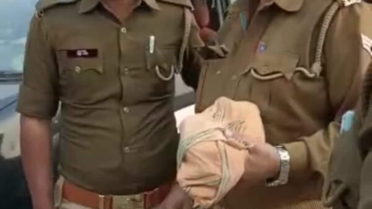 महराजगंज: पुलिस के डर से भाग रहा था बदमाश तभी कुछ ऐसा हुआ जिसकी नहीं थी उम्मीद, जानें महराजगंज: पुलिस के डर से भाग रहा था बदमाश तभी कुछ ऐसा हुआ जिसकी नहीं थी उम्मीद, जानें