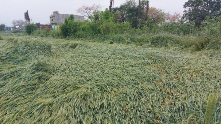 यूपी में सिर्फ इन ही किसानों को फसल की बर्बादी पर मिलेगा मुआवजा, जानें क्यों? UP Tak