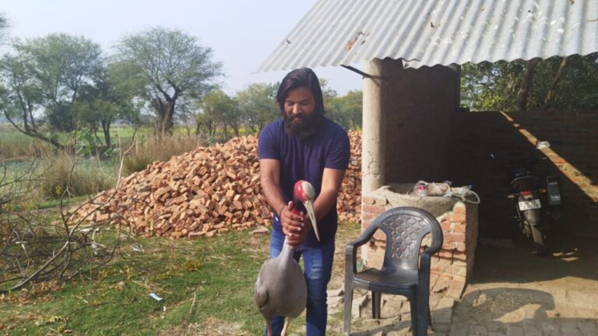 अमेठी के आरिफ से जुदा हुआ सारस तो भावुक हुए लोग, जानिए दोनों की दोस्ती की पूरी कहानी UP Tak
