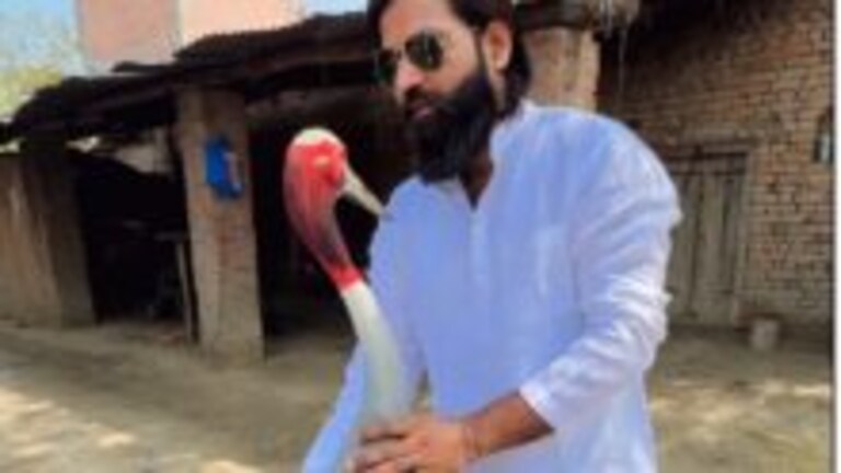 Amethi News: सारस के ‘दोस्त’ आरिफ के खिलाफ अब दर्ज हुआ केस, वन विभाग ने नोटिस भी भेजा UP Tak