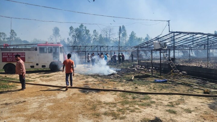 पीलीभीत: मात्र 10 मिनट में सब कुछ हो गया खत्म! पोल्ट्री फार्म में 25 हजार मुर्गियों हुईं खाक UpTak